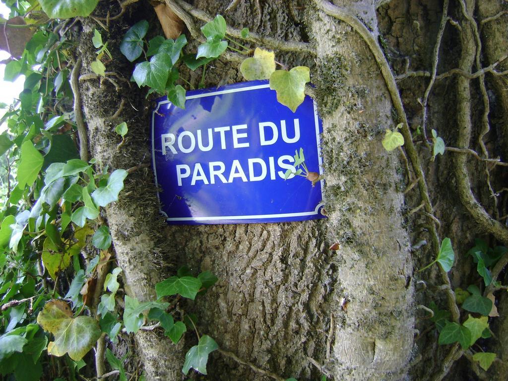 Gite Les Mineurs Zottegem Exteriér fotografie