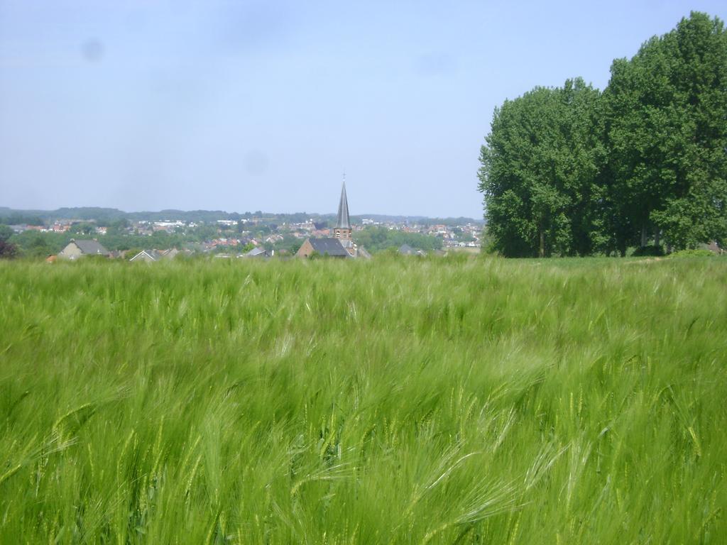 Gite Les Mineurs Zottegem Exteriér fotografie
